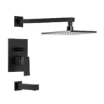 Juego Monocomando Ducha Dominic New Fv 0106/85N - Imagen 2