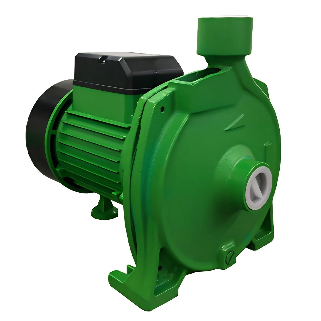 Bomba Centrifuga Elevadora RW Cpm 158 Rowa (1) Bomba Centrifuga Elevadora RW Cpm 158 Rowa - Imagen 1