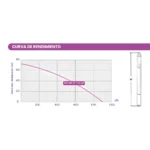 Bomba Sumergible Pozo Profundo Tornillo Sum PP ST Pluvius - Imagen 3